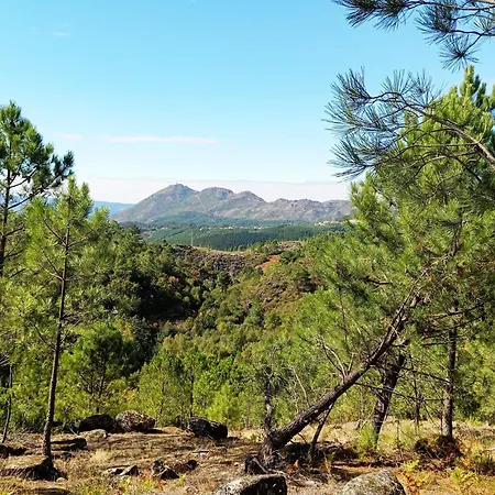 Tatil Evi Quinta Mimosas *