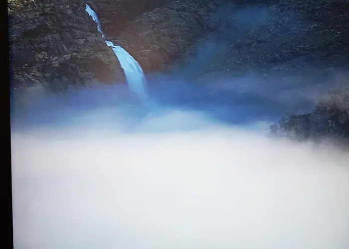 Quinta Mimosas 펜션