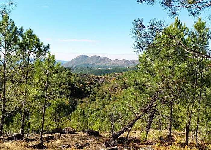 펜션 Quinta Mimosas *